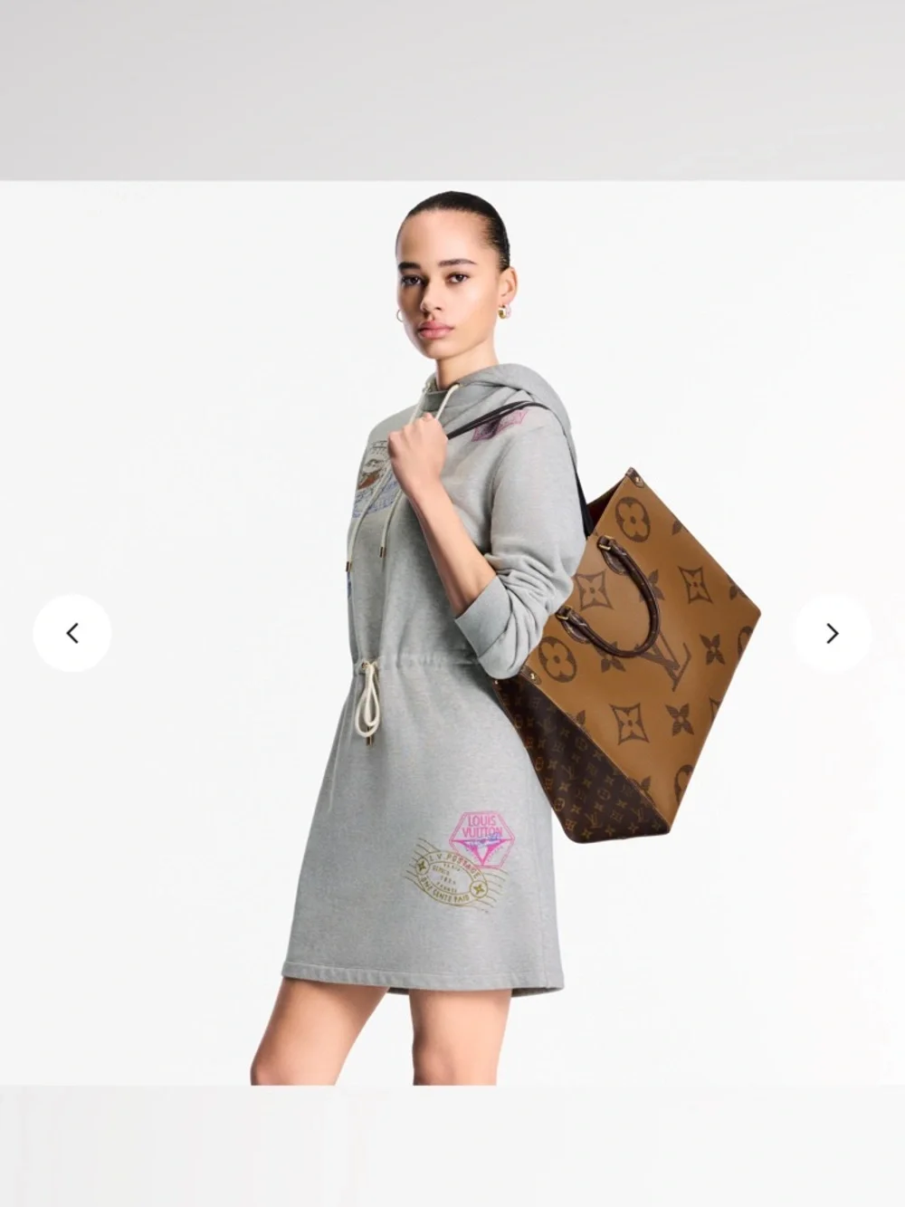 Louis Vuitton Brown Monogram Onthego Tote GM - Picture 7 of 16